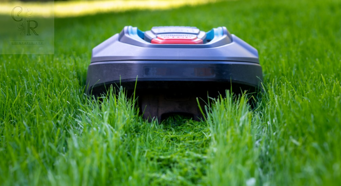 Automated Weed Eater The Future of Effortless Lawn Care